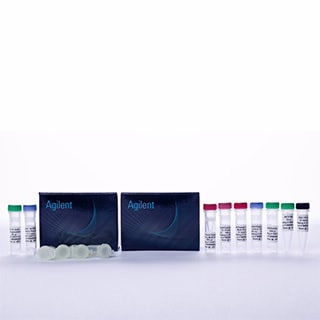 SureSelectXT Methyl-Seq Library Preparation Kit